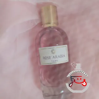 Rose Arabia Taifi WIDIAN